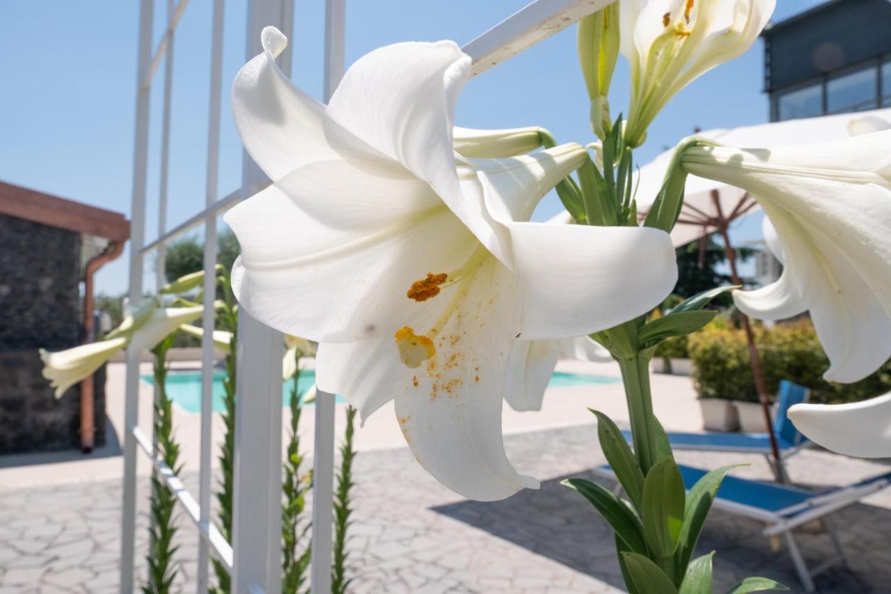 Lux Suite Sicily Mascalucia Εξωτερικό φωτογραφία